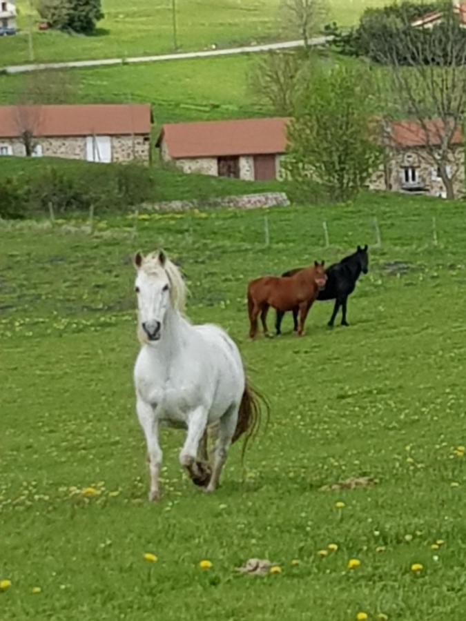 La Varenne Panzió Lachapelle-Graillouze Kültér fotó